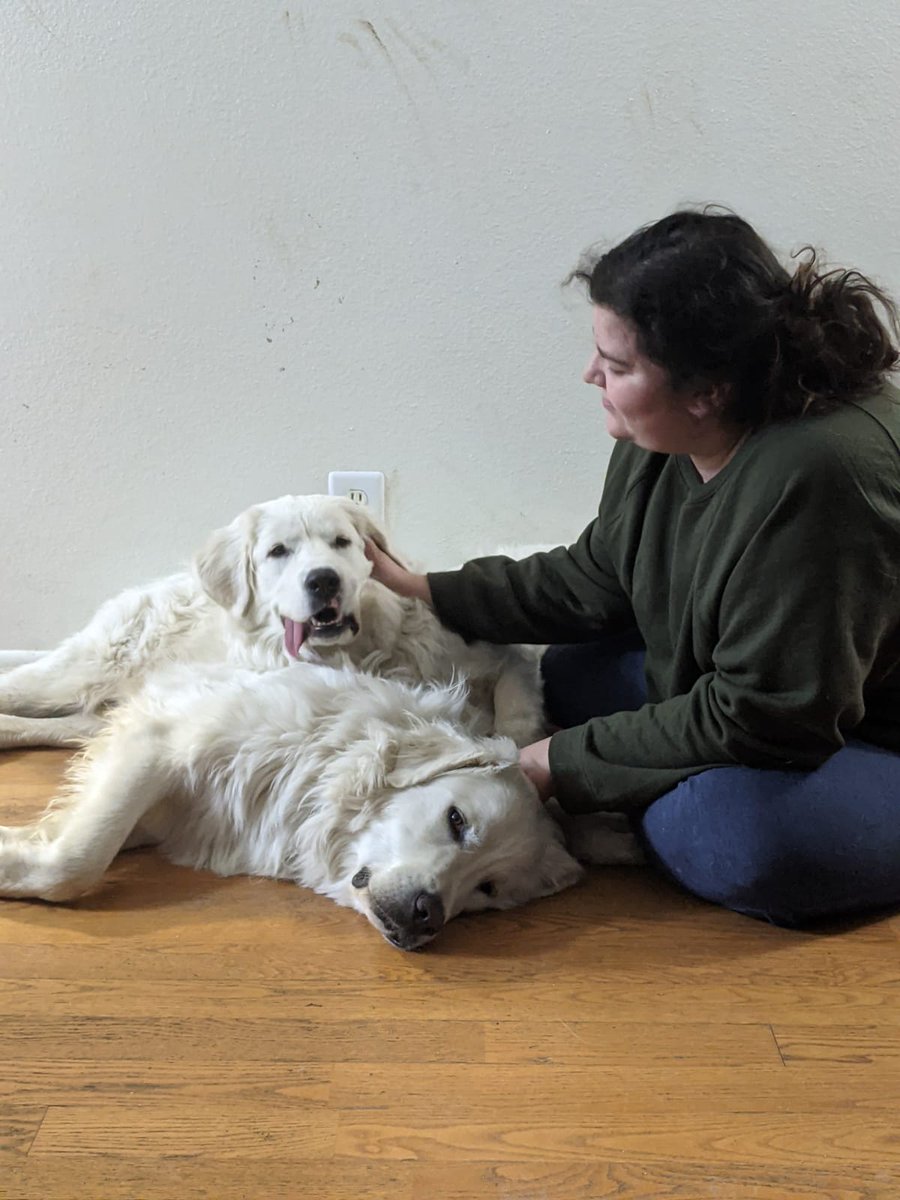 itskarla____'s tweet photo. so happy ❤️🐶🐶 https://t.co/wxpygYtFlu