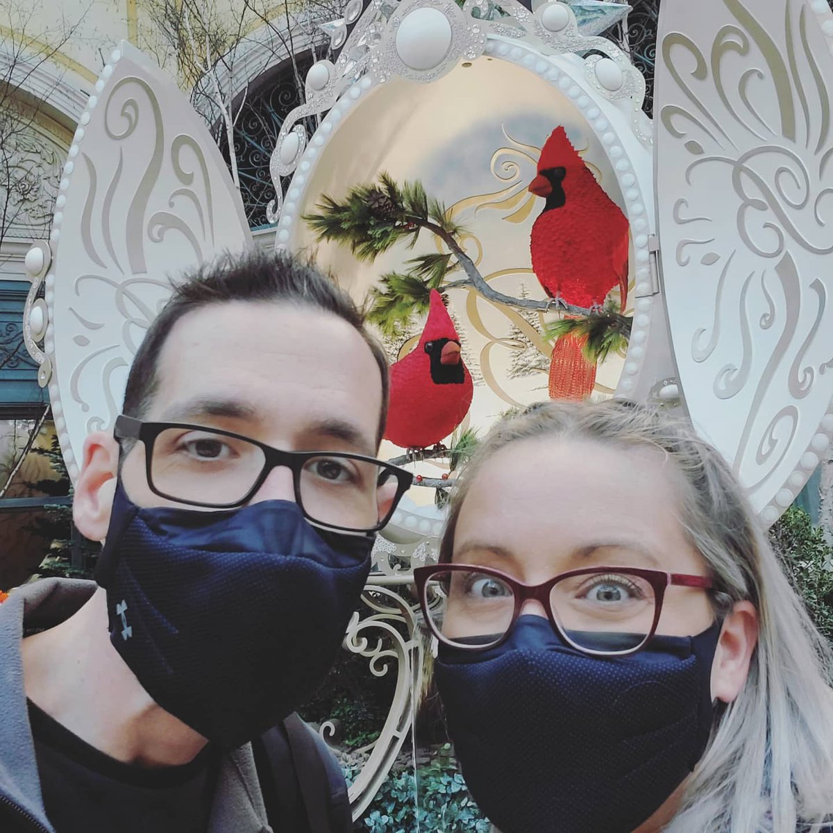 seanandstef's tweet image. Nothing say Vegas Christmas like 12 foot tall horses pulling a carriage. The Christmas display at the Conservatory inside Bellagio is nothing short of spectacular 🎄 #seanandstefstrong #seanandstef