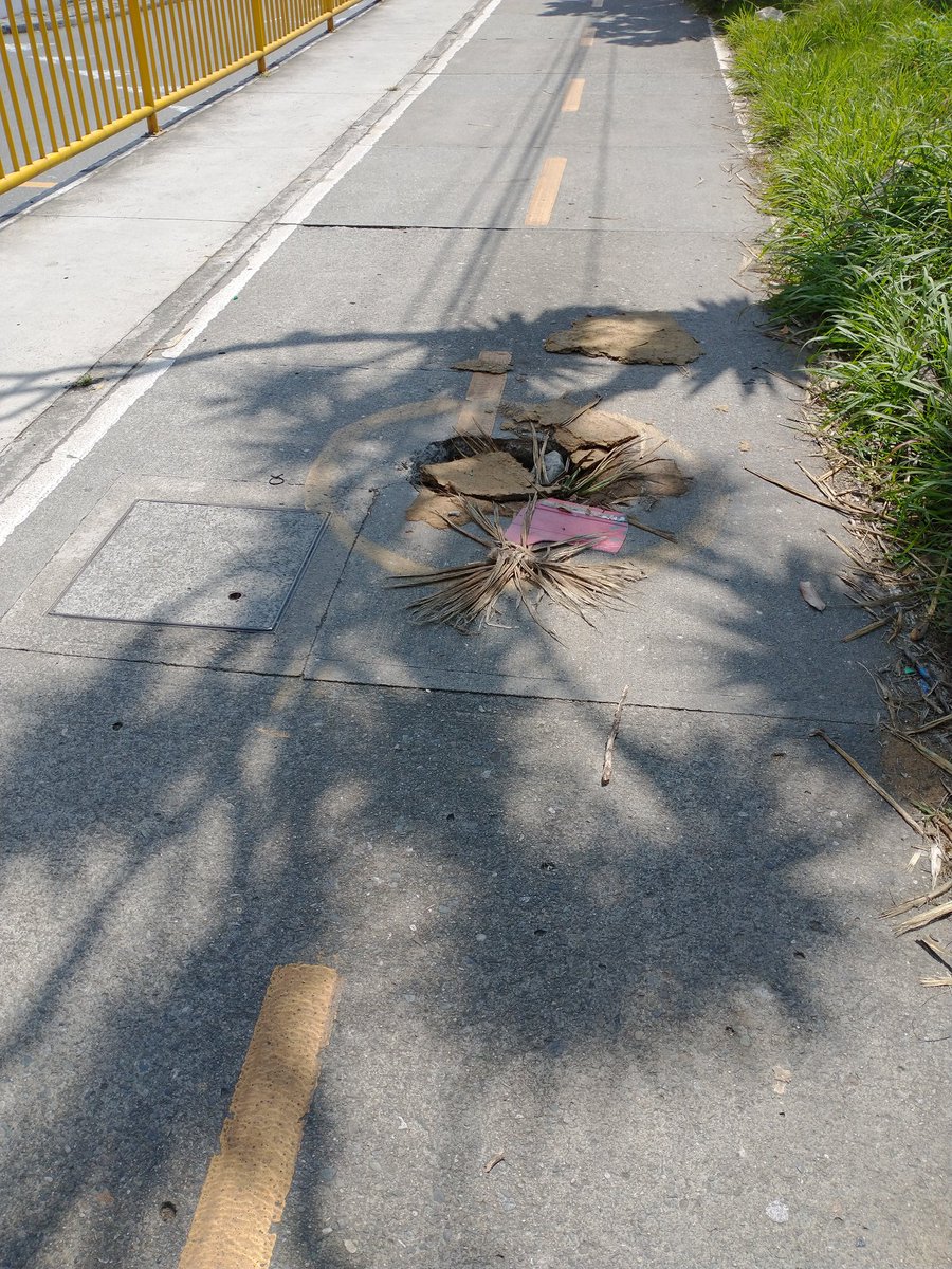 Nos reportan cicloruta en calle 65 al frente de clínica conquistadores, en horas pico es altamente transitada, y se puede observar primero, el mal estado en la que se encuentra, y segundo un hueco bastante peligroso, que además en horas de la noche no es visible. @CadenaGaitan