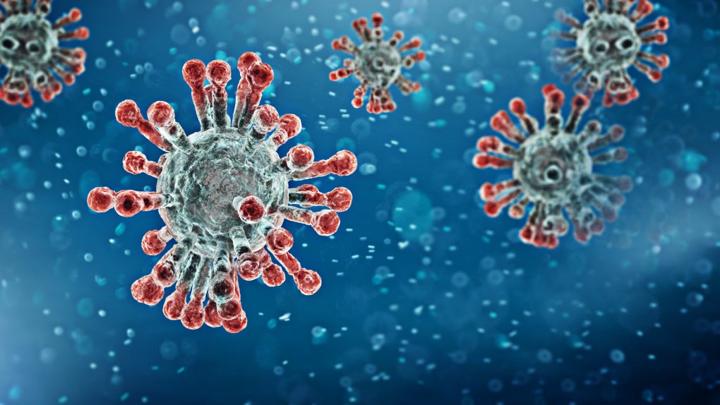CTVNews's tweet photo. EXPLAINER: Are new coronavirus strains cause for concern?

Viruses naturally evolve as they move through the population, some more than others. It's one reason we need a fresh flu shot each year.

https://t.co/SAA7fQYWBa https://t.co/d2BPcPBghP