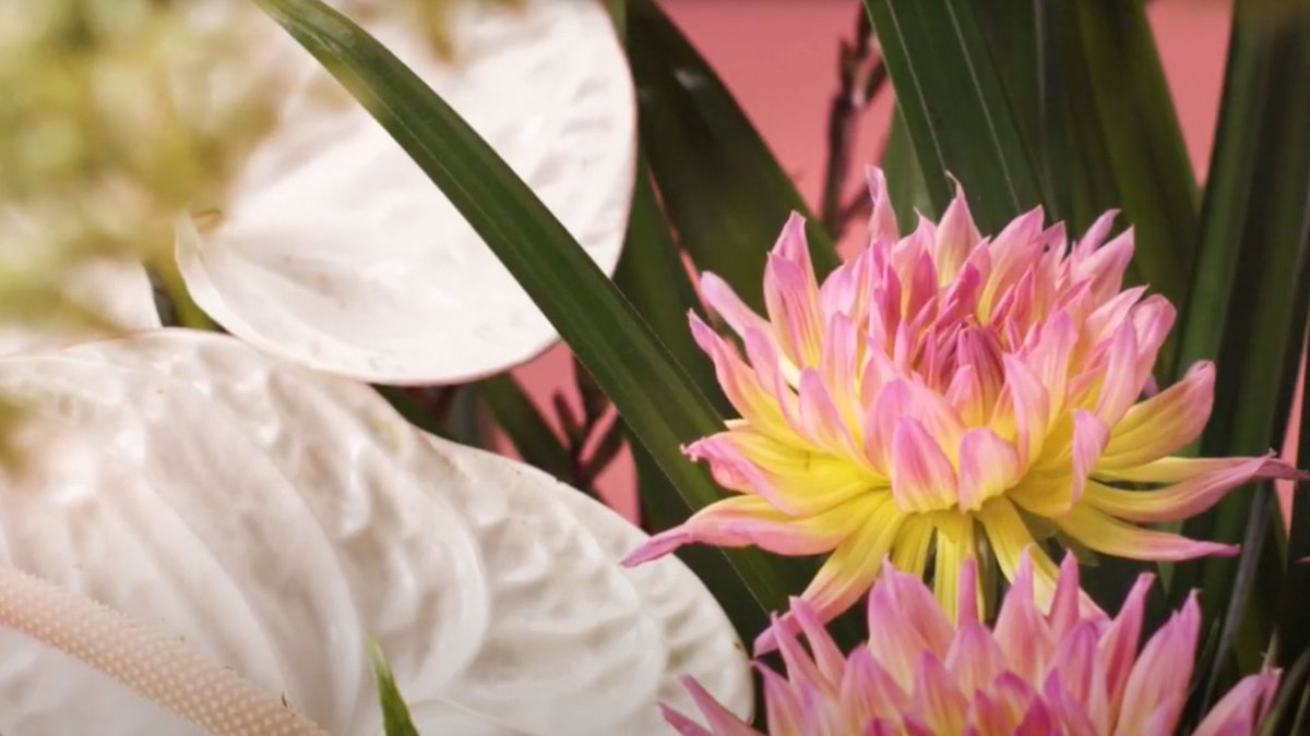 Movicutsapp's tweet image. ¿Es un día especial y quieres crear un recuerdo que perdure? ❤️ Te lo ponemos fácil con este #videopersonalizado 🙌  Crea tu #video #regalo en pocos minutos, personaliza tu #videorecuerdo con tus fotos en Movicuts 
➡️  movicuts.com/movies-ramo-de…