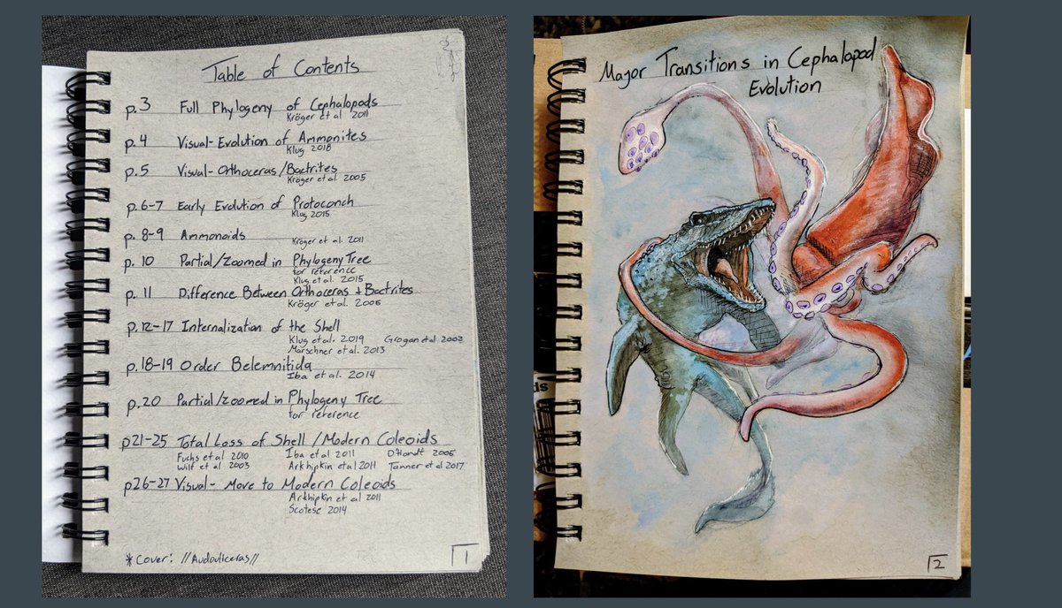 EvoSarah's tweet photo. I want to brag about one of my students, Lizy Bean (shared with her permission). I give students a lot of flexibility on what they want their term project to look like. She decided on a Haeckel inspired naturalist journal on Cephalopod evolution and she absolutely nailed it. https://t.co/LqiCjJBV2r