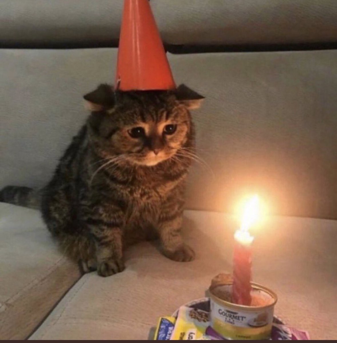 ThatAzlz's tweet photo. It’s my birthday 🥳 #December22th https://t.co/niNo2mgRrx