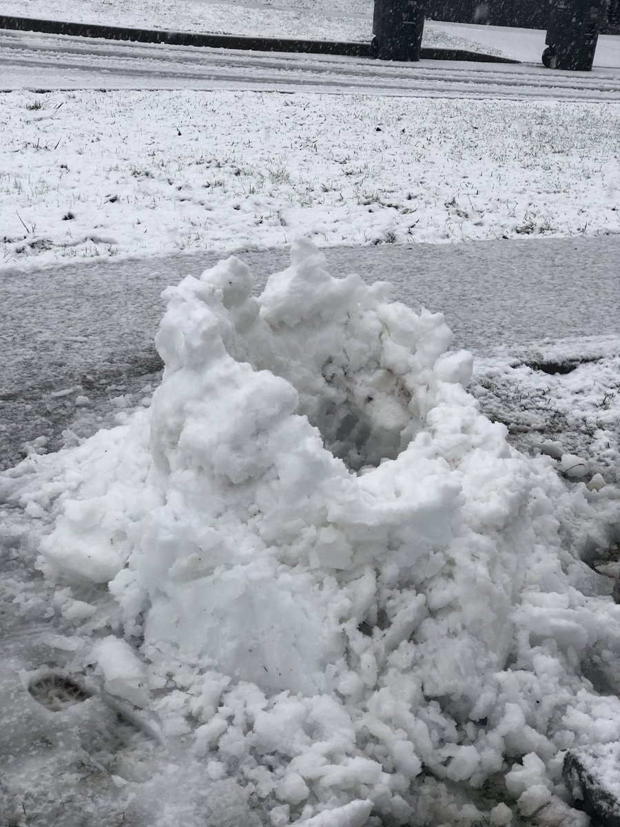 PK_Media's tweet photo. #SouthSurrey ❄️❄️ https://t.co/jhOzuty75d