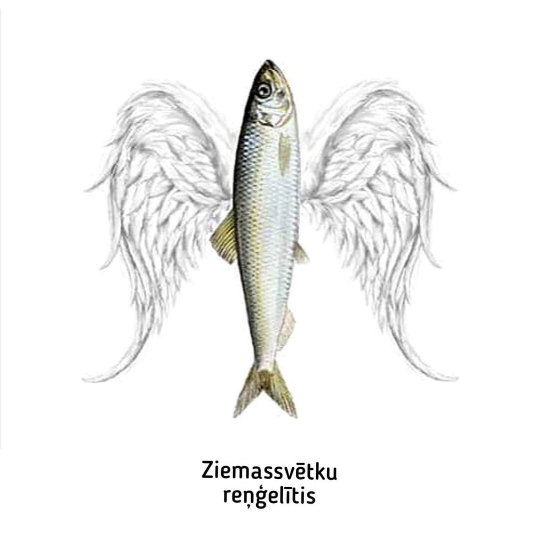 VNABinforme's tweet image. 🎄 Svētsvinīgs paldies aģentam “Rolands” - no mūsu sirdīm, aknām, šprotēm, ribām un pārējā, kas atrodas uz svētku galda un svētku ledusskapī!

#ziemassvētki #miers #prieks #reņģes