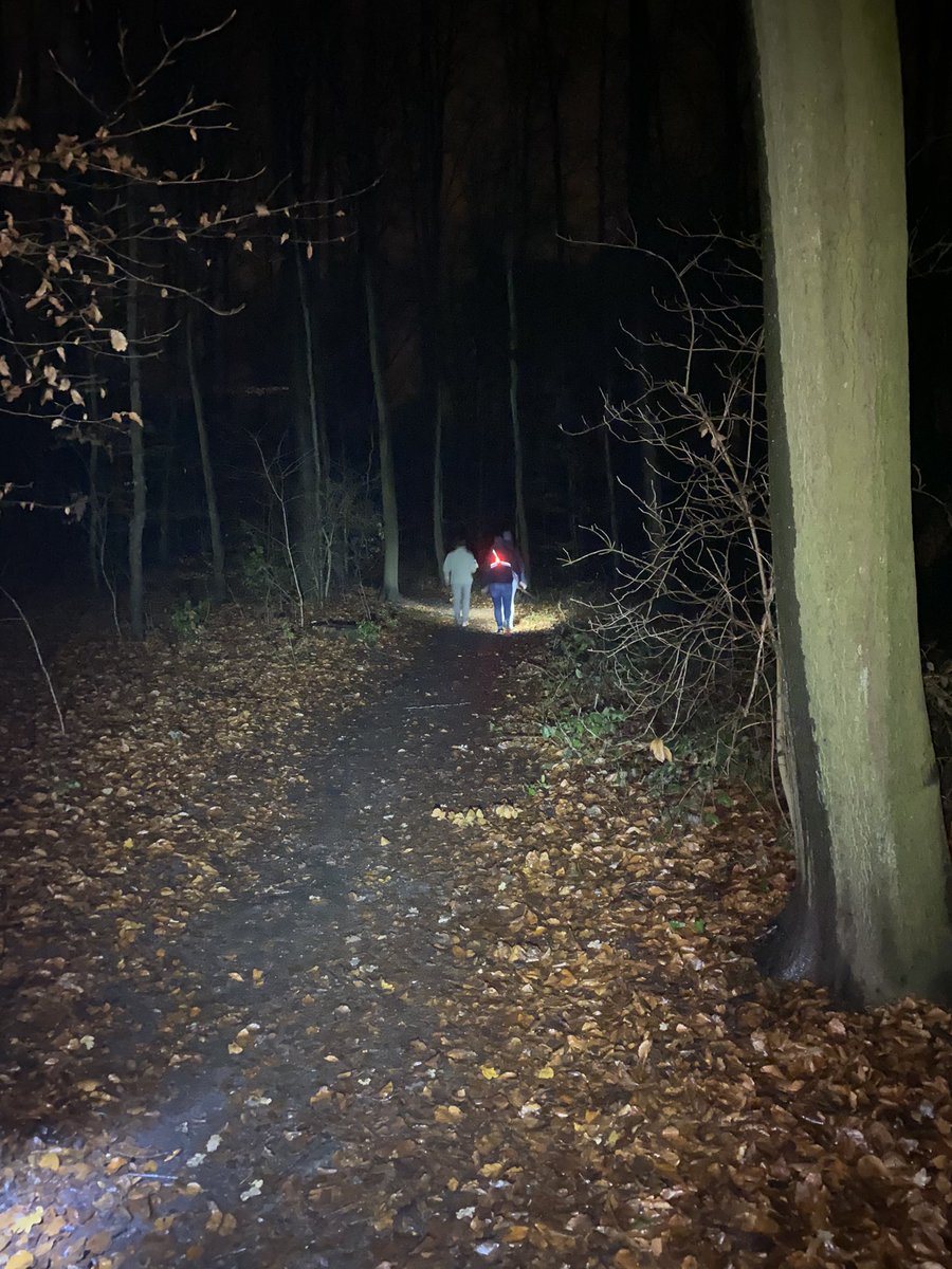 Ilse0950's tweet photo. Who is crazy enough to walk in the mud in the forest in the dark for 2 hours... ? Meeee ๐ this was so needed ๐ค๐ค๐ค #walkwithafriend https://t.co/zkSpX9gXGA