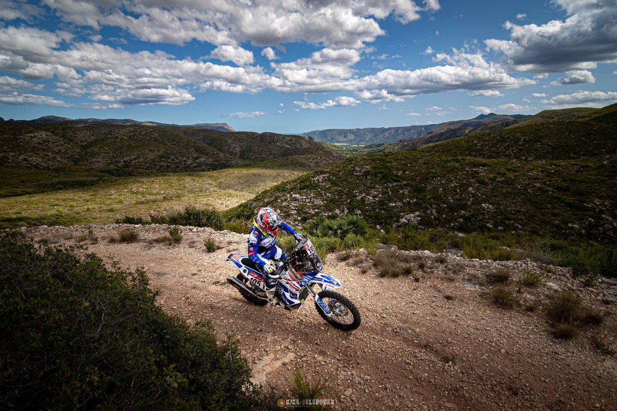 Daniel Albero tweet media