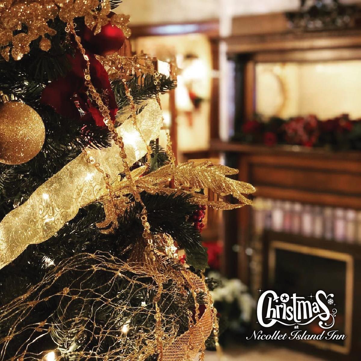 NicIslandInn's tweet photo. Christmas is coming up, and we're here to make your dinner plans simple!  The Nicollet Island Inn is offering a four-course take-home Christmas dinner for only $69 per guest.  Available from December 24th-27th, we hope to see you soon! ✨🎄 https://t.co/SkumXRCJ7r