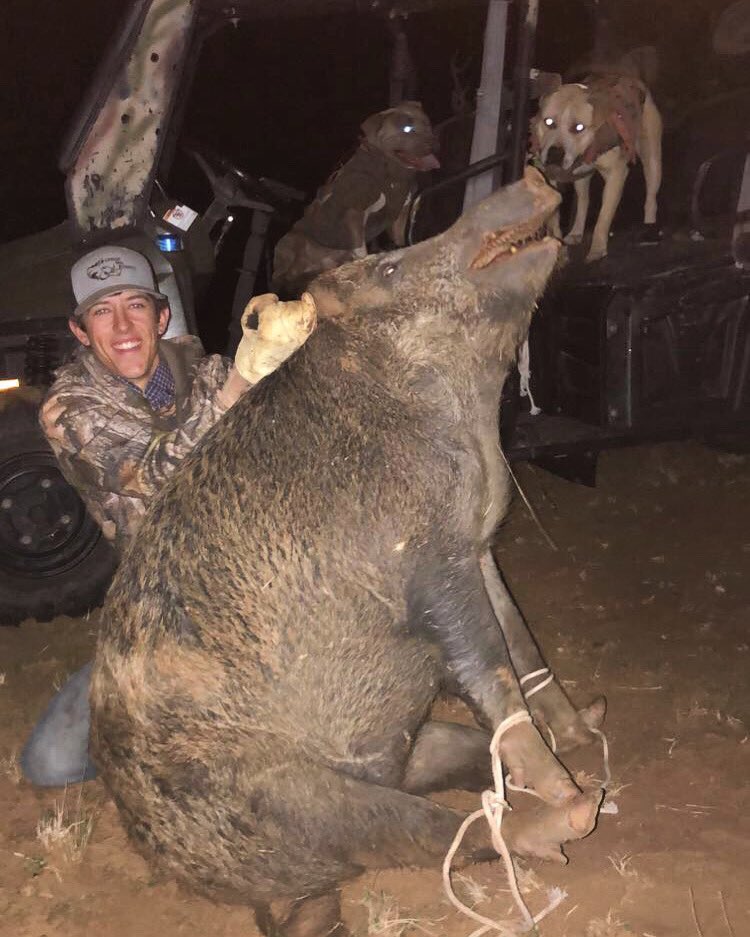 Austin_Kayy's tweet photo. A few studs the dogs have caught lately! https://t.co/i26vuXG4KC