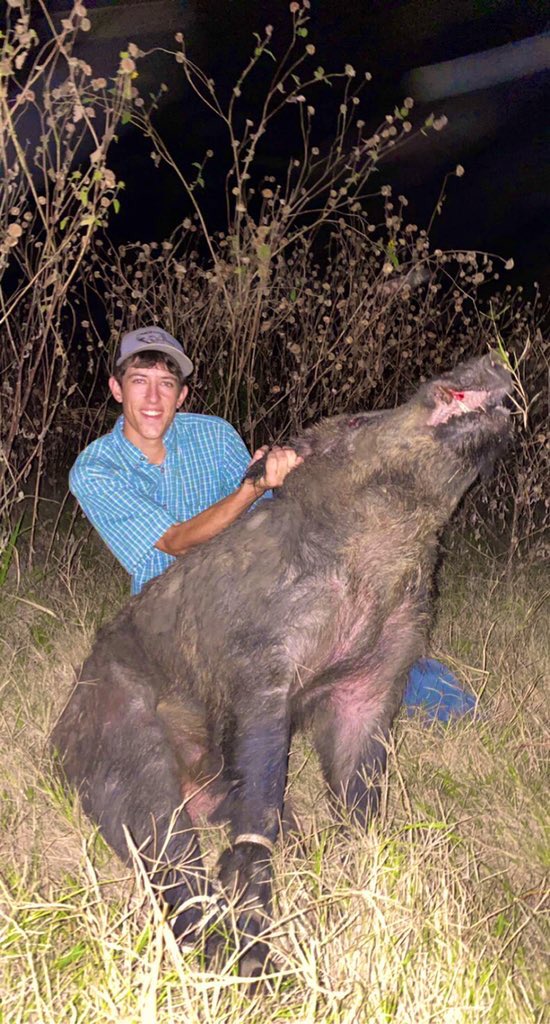 Austin_Kayy's tweet photo. A few studs the dogs have caught lately! https://t.co/i26vuXG4KC
