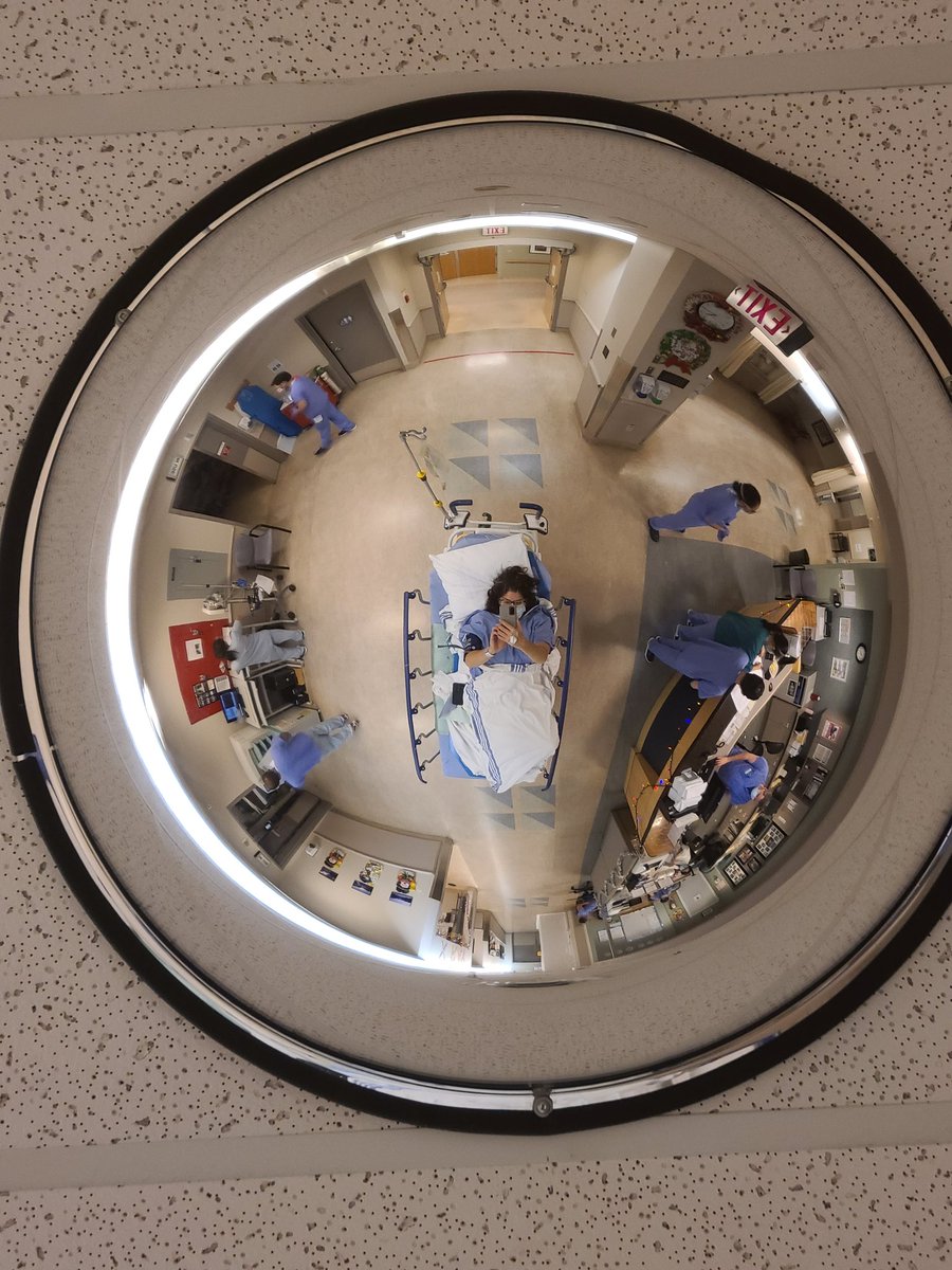 Things I have learned from two trips to two BC hospitals in the last month: I had hip replacement surgery Nov 25 at Burnaby Hospital. On Dec 20, the new joint dislocated, and I found myself calling 911 for the first time in my life.