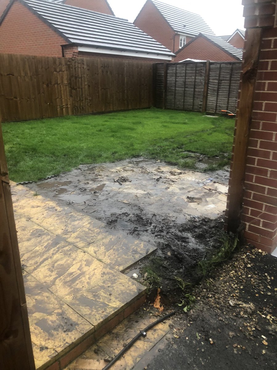 Manor Prestige Landscapes tweet media