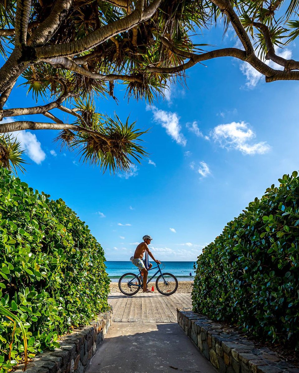 noosa's tweet photo. In the lead-up to Christmas #Noosa gave to me... beach vibes, bike rides and lots of green... 🎶🌴
#EntertheBiosphere with @mitchellpettigrew via the link below 😆 https://t.co/DtnZbOYhHf https://t.co/Q6N4Kfofcg