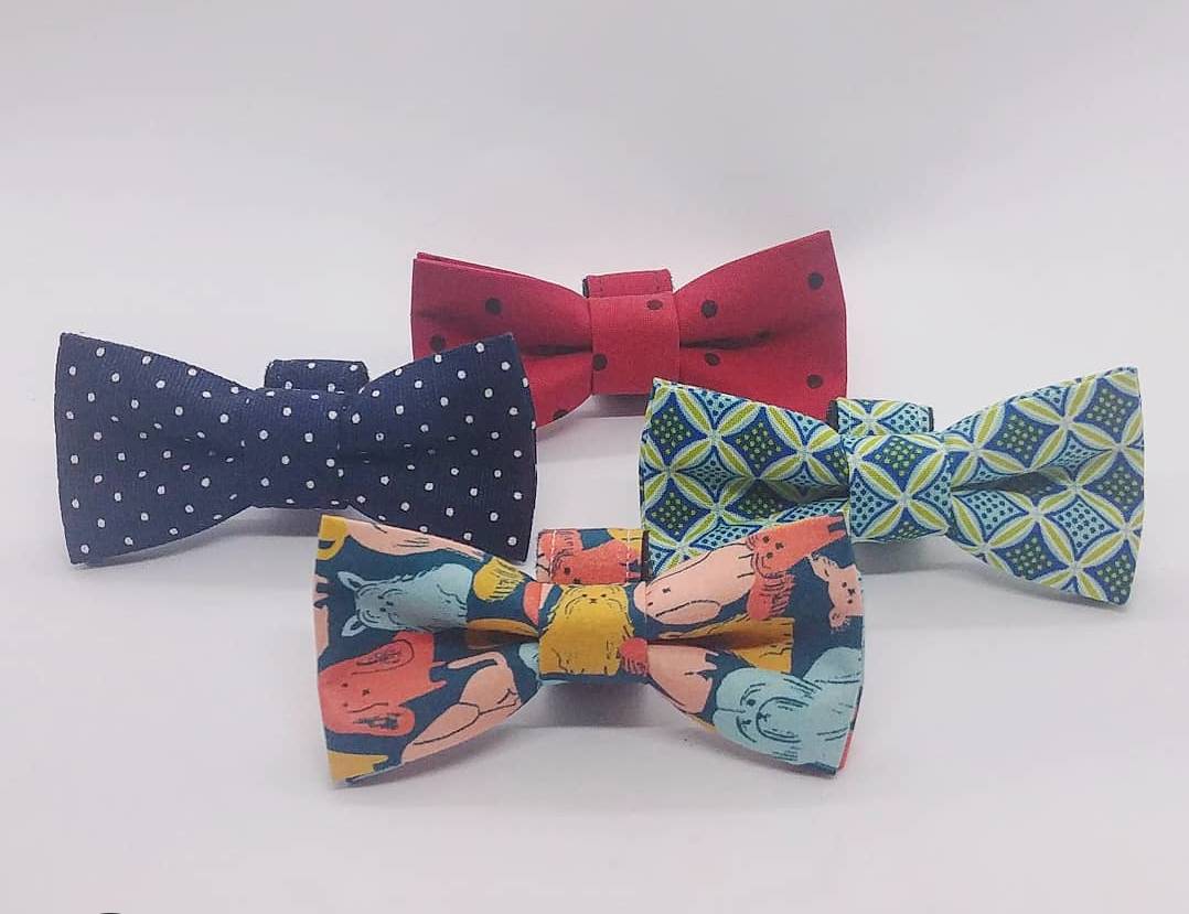birdonawireart's tweet photo. Do you know someone who could use a new bowtie? We love these spiffy ones from ho + co. They'd look fantastic during your virtual Christmas events this week (even if you're rocking pj bottoms)! #bowties #yvrlocal #supportlocalhttp://ow.ly/vJO530qJtqi https://t.co/xZ5nxmiJQJ