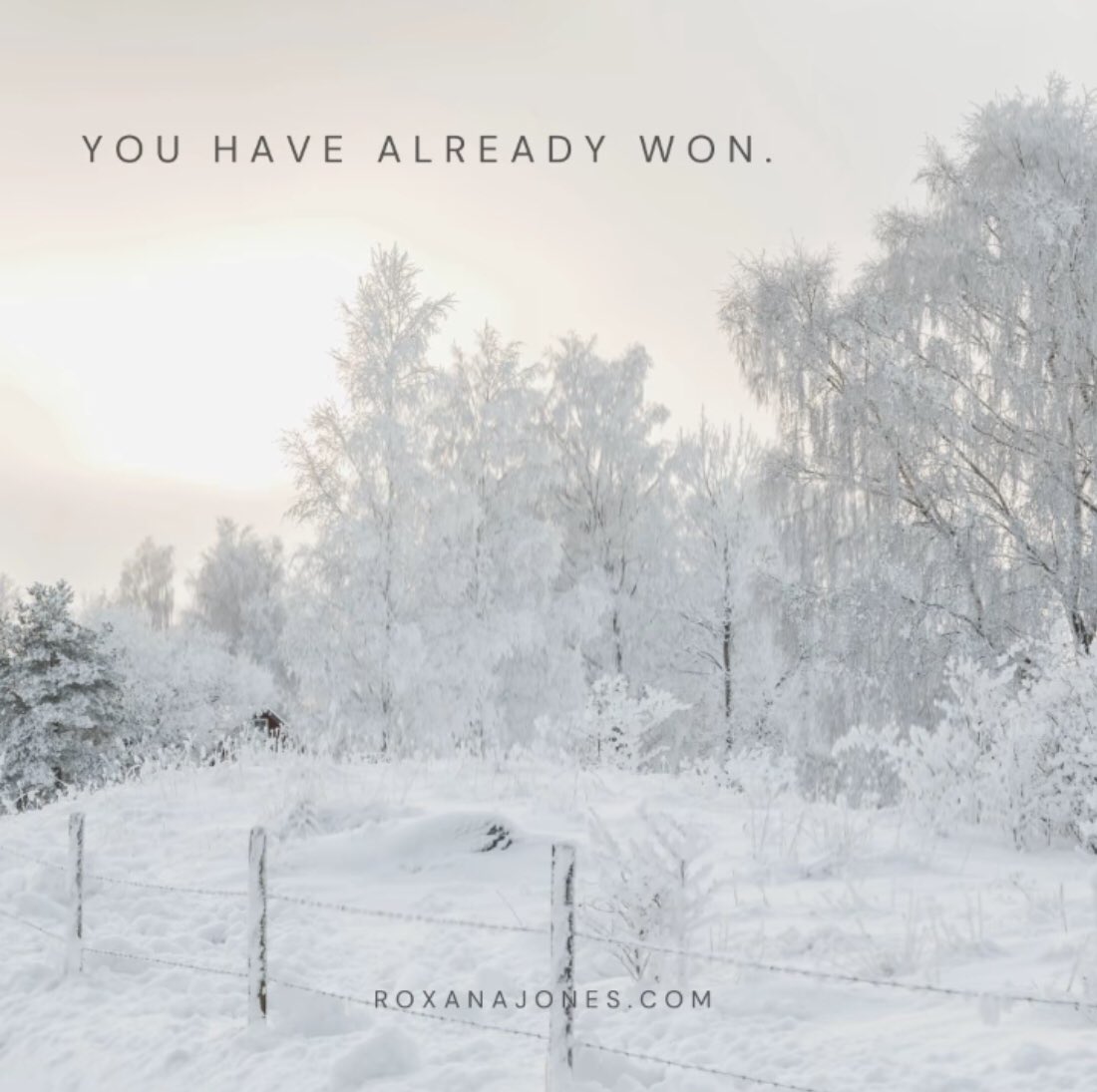 BuddhaBrian's tweet photo. We Are All ‘INSTANT WINNERS’ However We Must Be ‘Present’ To Win.” ~#BuddhaBrian
Pic/Courtesy @roxanamjones https://t.co/6IAUS10AEy