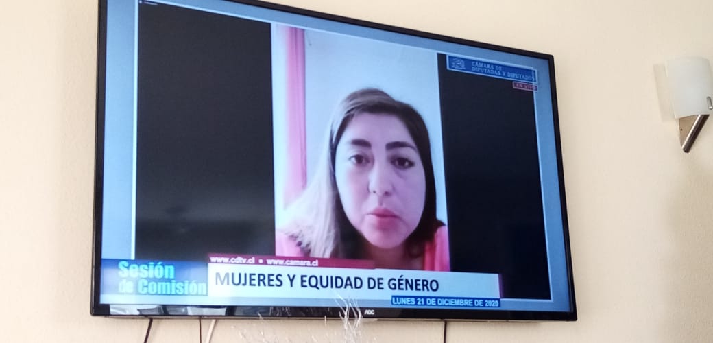 Postnataldeeme1's tweet photo. Hoy defendimos con uñas y dientes la #ExtensionPostnatalDeEmergencia porque TODOS nuestros bebes necesitan ser protegidos del  covid19 
@MaiteOrsini @GaelDiputada @monicazalaquett @mjose_zaldivar @ministeriosalud @sebastianpinera @Camara_cl https://t.co/yMKiUxjVvB