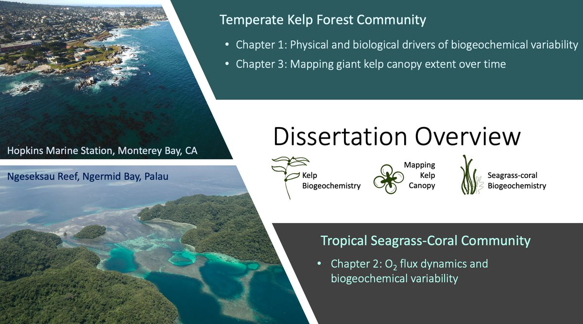 A bit belated, but excited to announce that I defended my @StanfordEarth PhD just over two weeks ago! My dissertation examines the potential for kelp forests and/or seagrass beds to ameliorate local #oceanacidification stress.
 
Want to learn more? Details in this 🧵