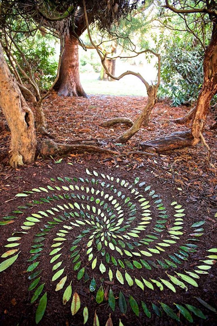 Virginie_F_R's tweet photo. #Nature is #art 🌿🖌️🎨 https://t.co/yA5dKYvm9Q https://t.co/2V5E0ZPom2