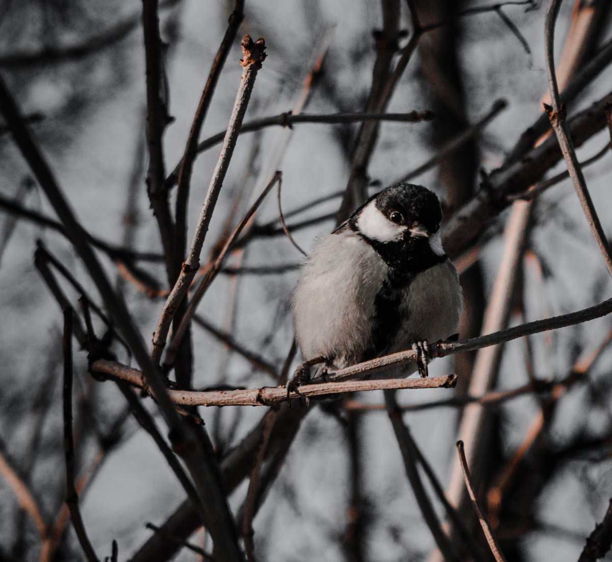 It's the first day of Winter! ❄️What's your favorite part about this season? #wintersolstice #winter2020 #naturelove