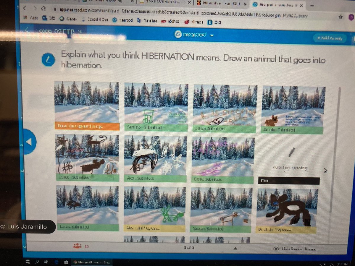 All my learners drawing pictures of animals that hibernate! Letting their artist abilities grow! @MsMiller_J @MeadowDrMineola <a href="/Hampton_Street/">Hampton Street</a> <a href="/MineolaVirtual/">Mineola Virtual</a> #MineolaTogether #MineolaProud