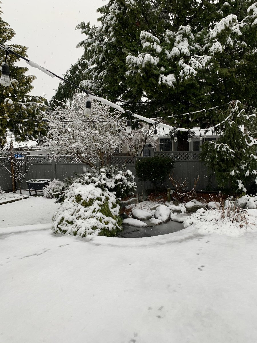 KBBenning's tweet photo. I apologize to the people of the Lower Mainland. When I left #yxe this morning at 6, it was 0 degrees. Didn’t realize I packed snowfall in my luggage 🤷🏽‍♂️ #yvr #yvrstorm #yvrsnow https://t.co/6QrvruFn8g