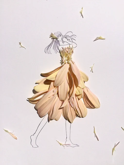 オハヨー 