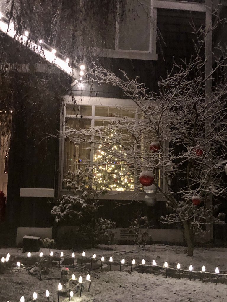 yo_landa's tweet image. IT’S SNOWING ⛄️❄️ #Seattle #Seattling