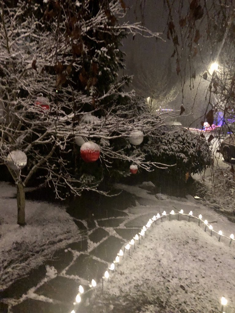 yo_landa's tweet image. IT’S SNOWING ⛄️❄️ #Seattle #Seattling