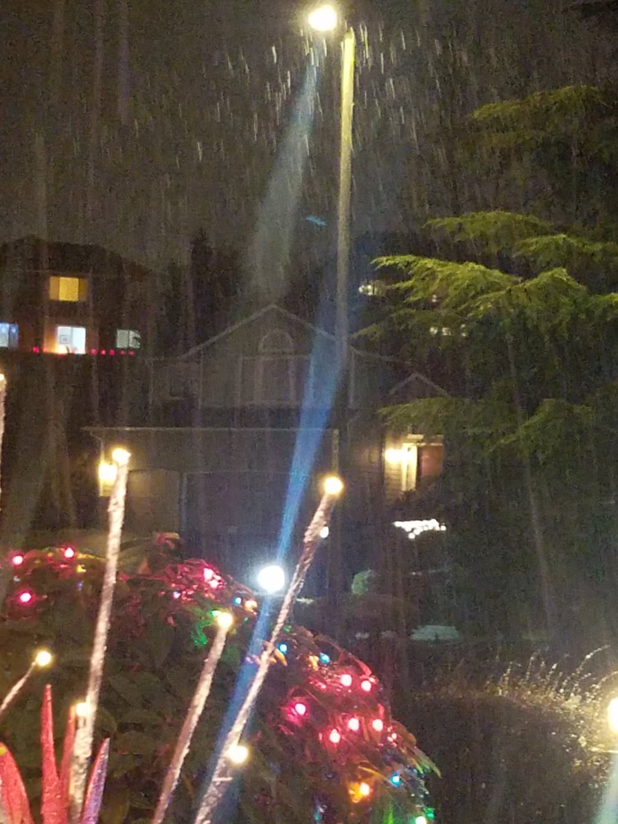 Prerequisite snow falling picture for first snow.