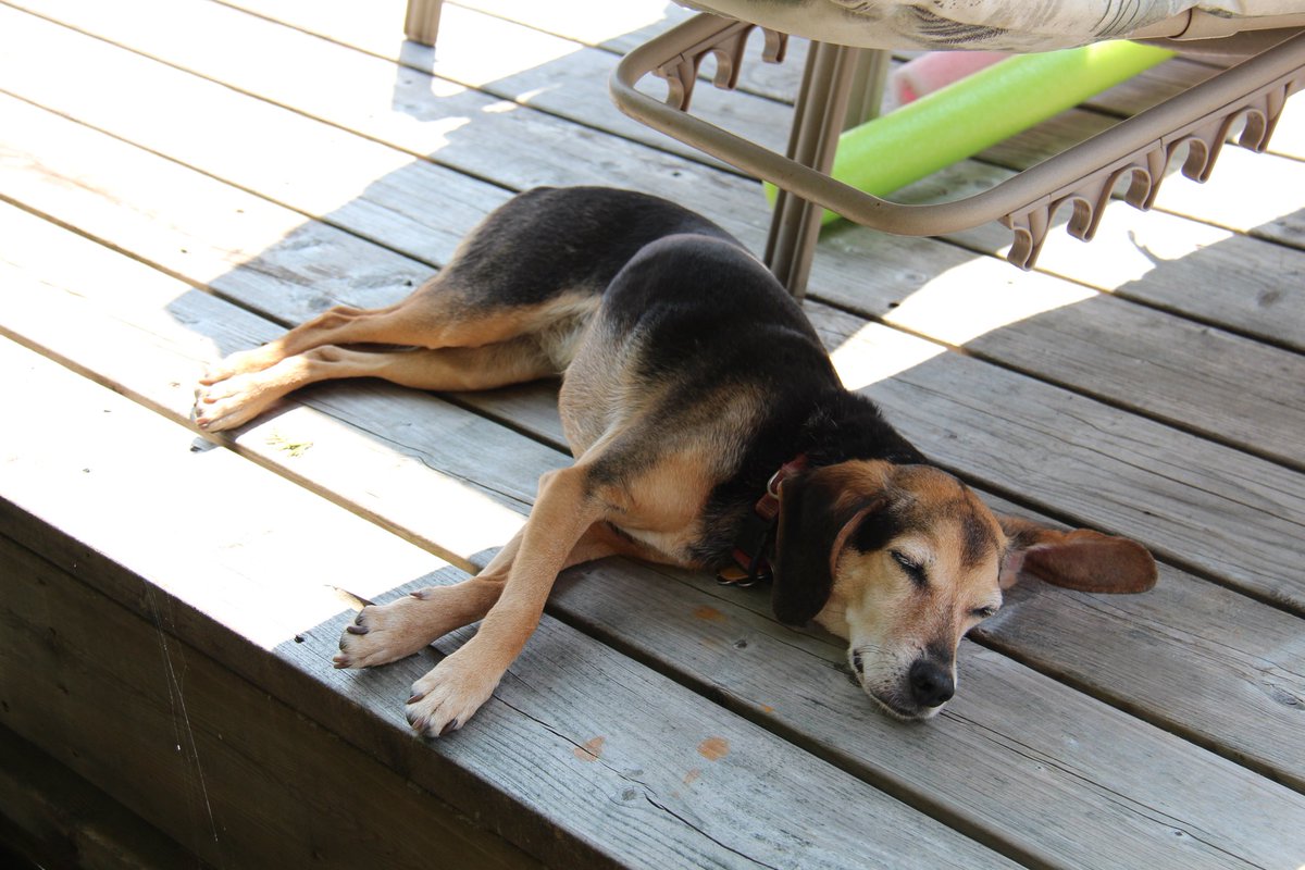 Christine Fisher tweet media