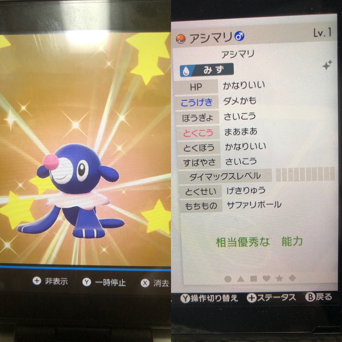 サファリボール