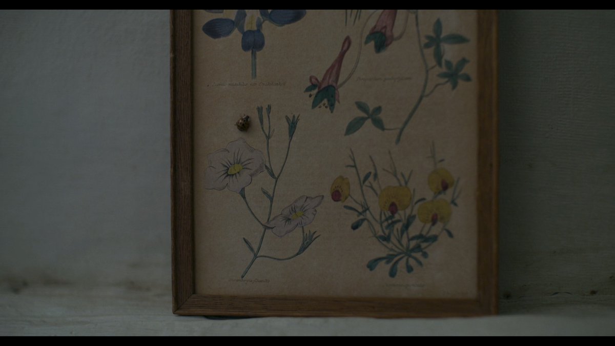 When we spot insects in the small coastal town of Lyme Regis in  #Ammonite, they are always alive - scurrying every which way.In London, butterflies are pinned to the walls. Flies lie dead on a window sill.The heart of high society, the City, beats a deadening pulse.