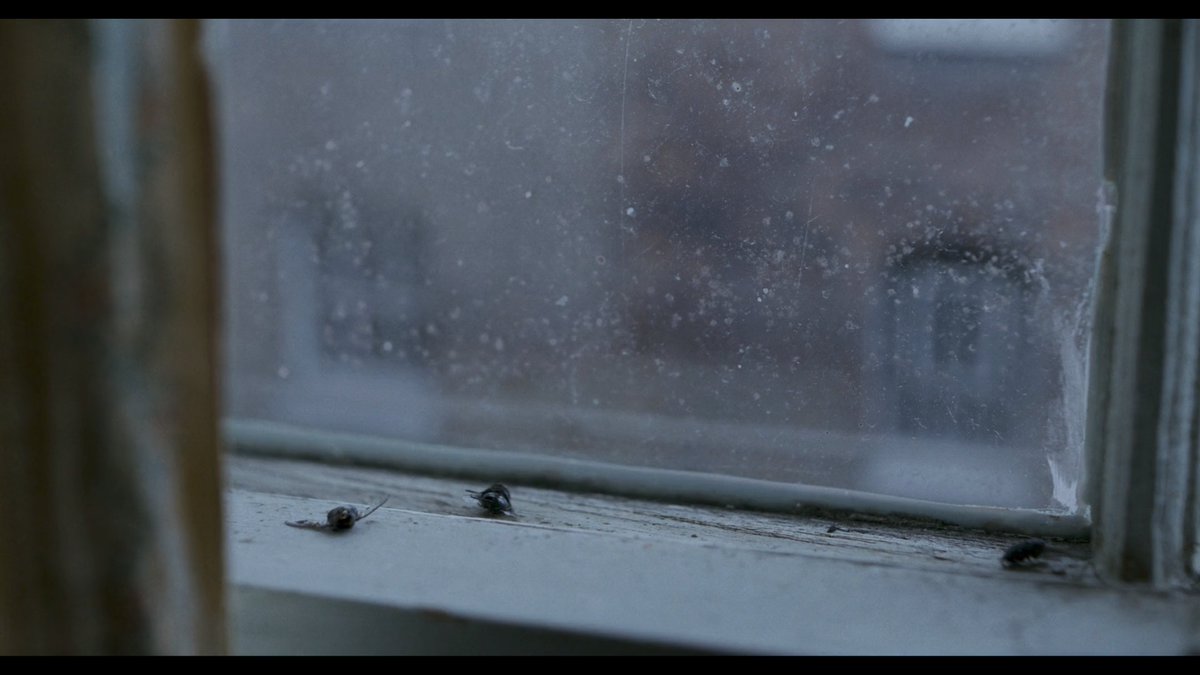 When we spot insects in the small coastal town of Lyme Regis in  #Ammonite, they are always alive - scurrying every which way.In London, butterflies are pinned to the walls. Flies lie dead on a window sill.The heart of high society, the City, beats a deadening pulse.