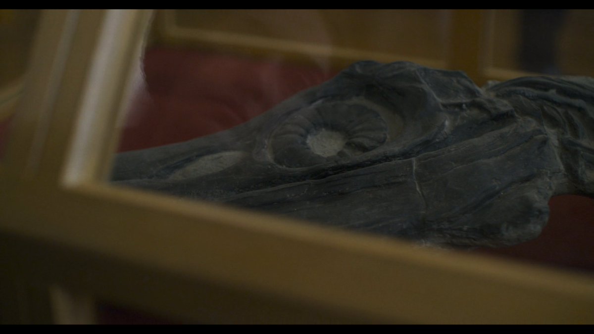 In  #Ammonite's last sequence, a much-ignored paleontologist views her first relic at the British Museum.She stares at it through the glass. Her former lover appears on the case's other side.Separated by glass, have they become relics to each other? Fossils of a past love?