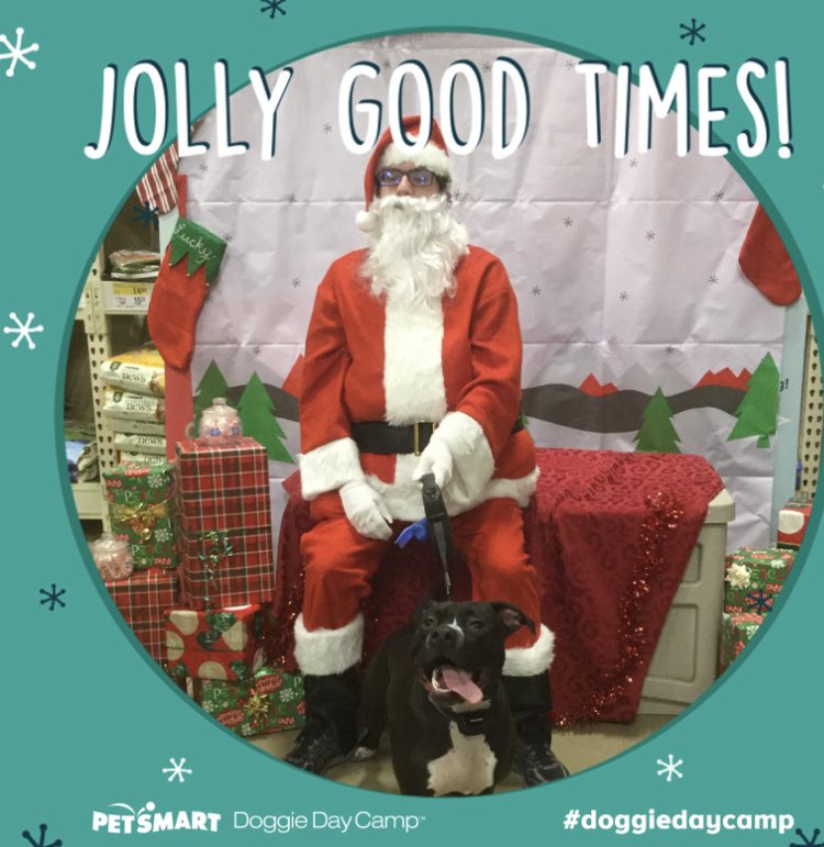 larn1122's tweet photo. @dog_rates @bestfriends @Trupanion Our Luke loves the holidays and today (12/21) is his birthday! https://t.co/X5NUgrz2Pg