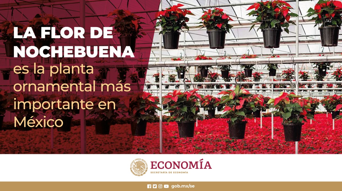 Economía México on Twitter: Economía México on Twitter: