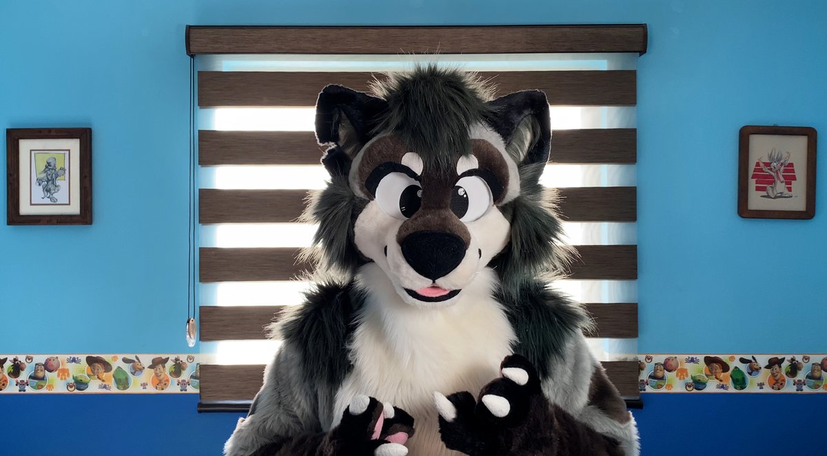 Raucous_Raccoon's tweet photo. Very important message before you keep scrolling:
Raccoons are friends!

#FursuitMonday (if that's a thing)

(📷: @Raucous_Raccoon (Yes it was a selfie!) ) https://t.co/xce4ctqVXp