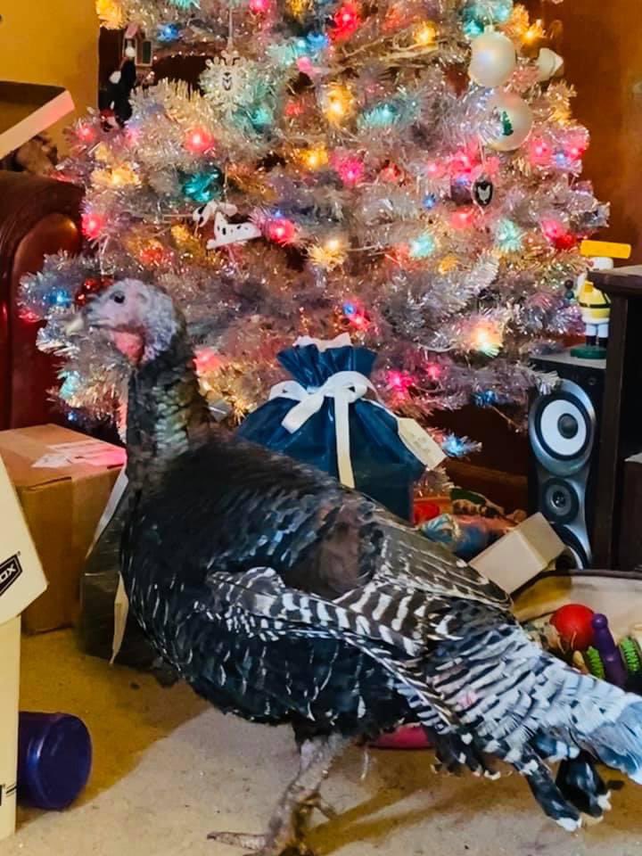 Shawn Walter tweet media