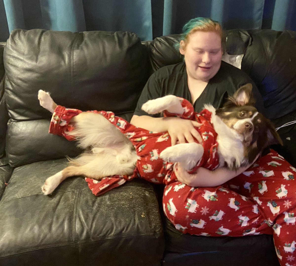 Shawn Walter tweet media