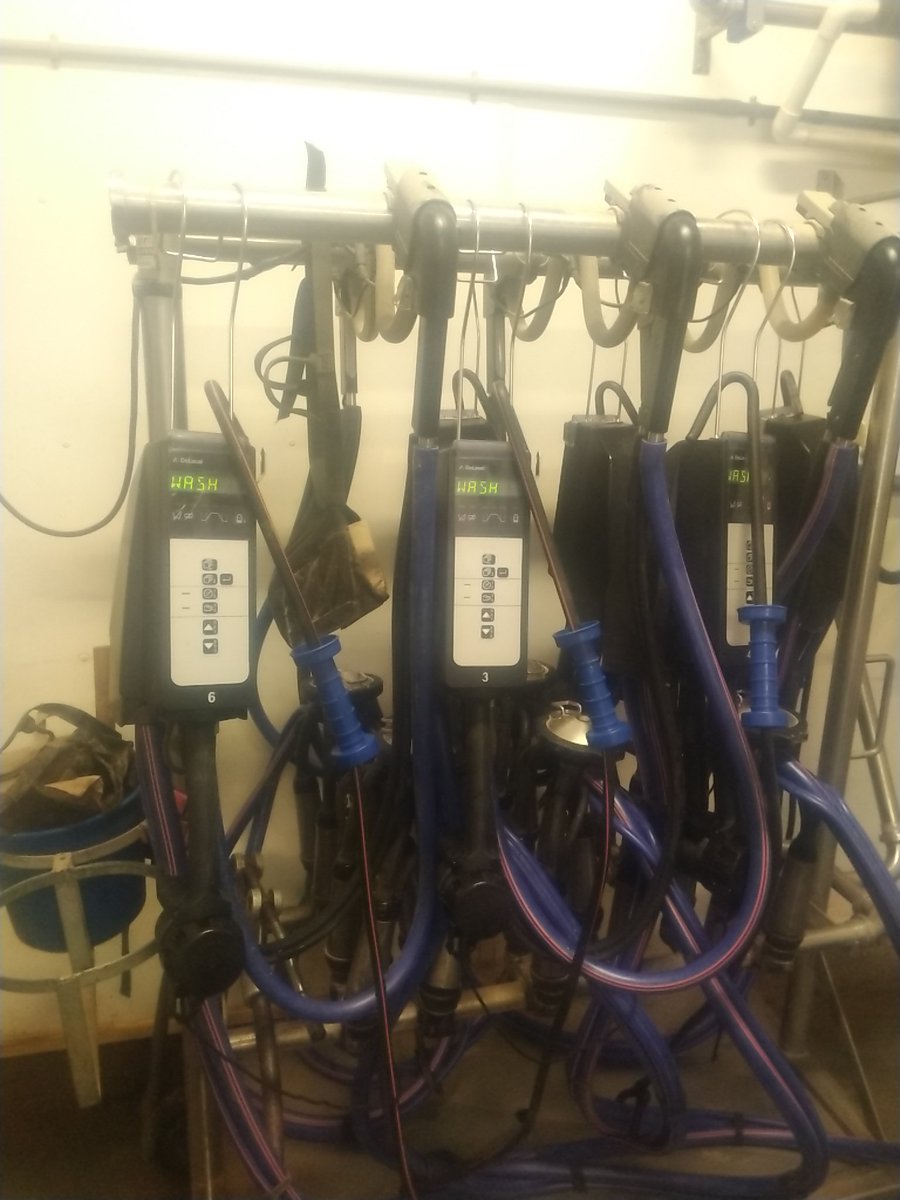 NorwellDairy's tweet photo. Colmont Holsteins recently fired up their NEW @DeLavalCanada MU480 take-offs to complement their Evanza Claws
☑️ DHI Approved
☑️ Vacuum regulator
#dairydonewell #farming #agriculture #dairy #milking https://t.co/CRBfpErzYe