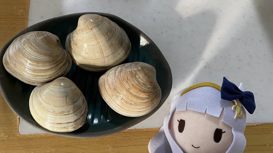 潮干狩りで採れる貝の種類は 食べられない貝の見分け方や持ち帰り方も キャンパーズ