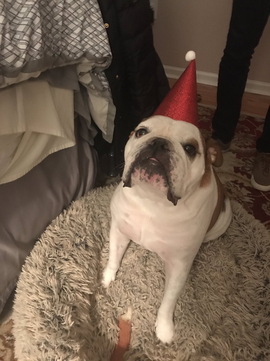 WhoElseBut_Kels's tweet photo. @dog_rates @bestfriends @Trupanion Ho Ho Ho https://t.co/UAxilwZC5Y