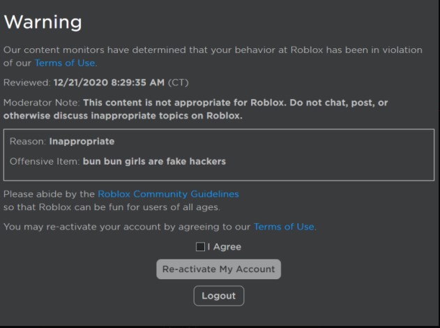 ROBLOX Bun Bun Girls Hackers in a nutshell 