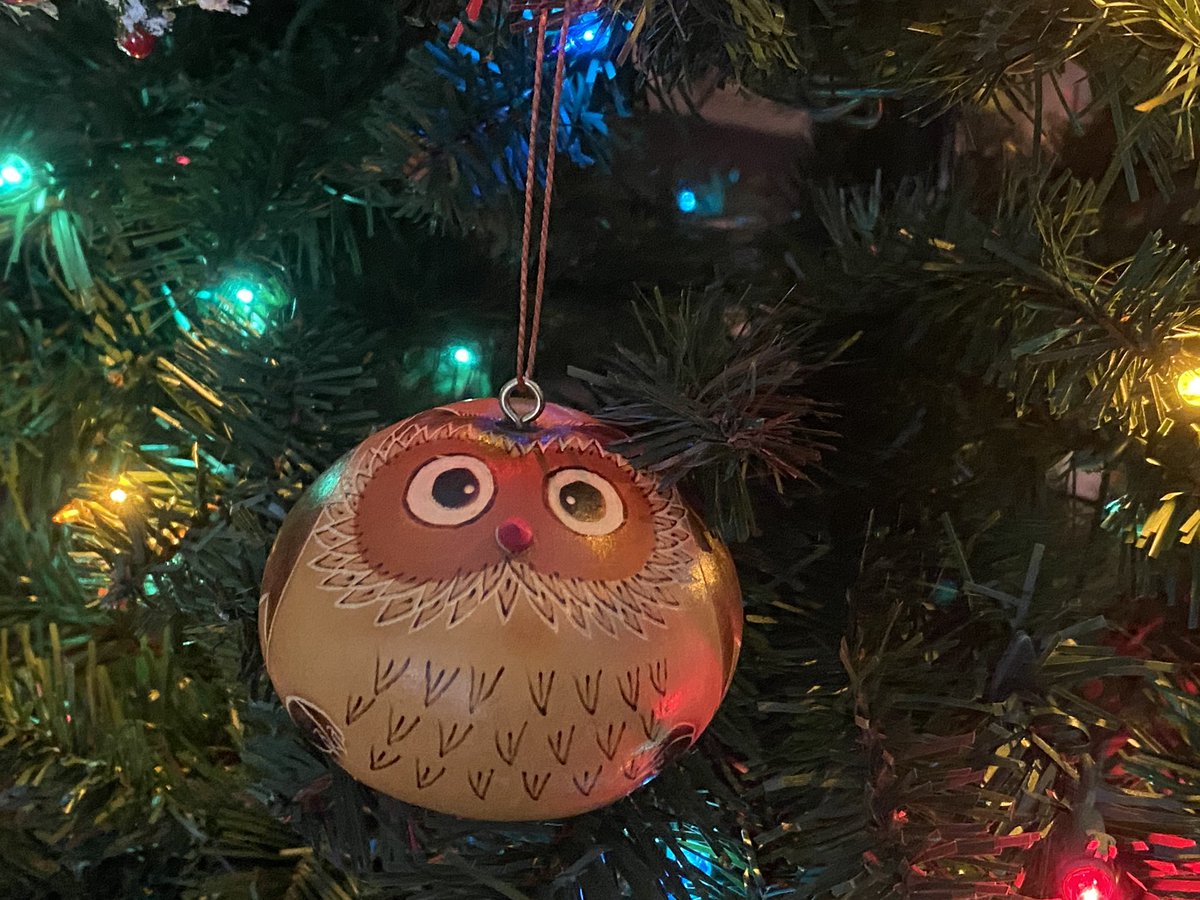 EditMeThis's tweet image. Gourd #owl ornaments from my sis. 🥰🦉