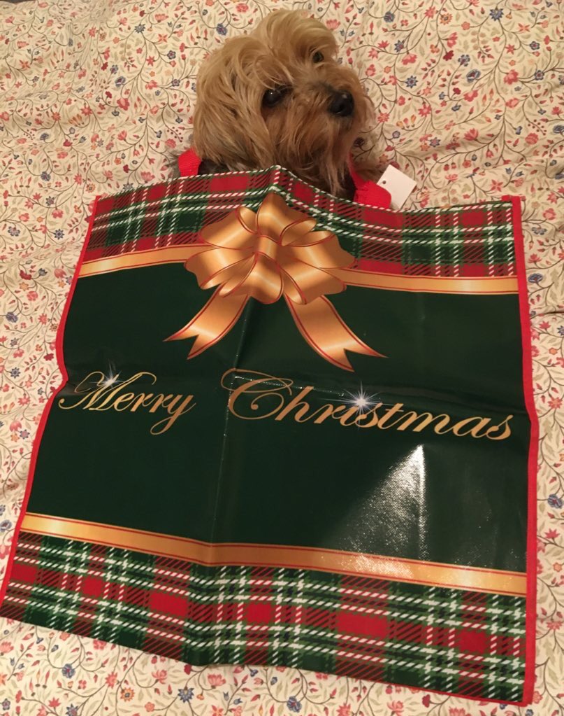 widminter tweet media