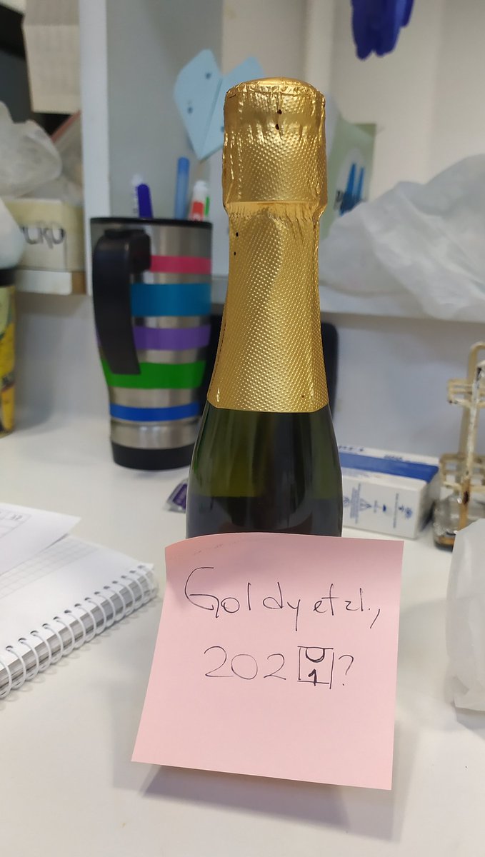 Camila Goldy 🌱🔬🧉 (@camilagoldy) on Twitter photo Summer has arrived here 🇦🇷 and it comes with good news.
🥳 Paper accepted 🍾
The 2nd Goldy et al., a meaningful one, and the first part of my PhD thesis.
Thanks to my advisor <a href="/ramrodri/">Ramiro Rodriguez</a> and to all the members of <a href="/rnabiollab/">RNA Biology LAB</a> <a href="/IBR_CONICET/">IBR</a> Summer has arrived here 🇦🇷 and it comes with good news.
🥳 Paper accepted 🍾
The 2nd Goldy et al., a meaningful one, and the first part of my PhD thesis.
Thanks to my advisor <a href="/ramrodri/">Ramiro Rodriguez</a> and to all the members of <a href="/rnabiollab/">RNA Biology LAB</a> <a href="/IBR_CONICET/">IBR</a>
