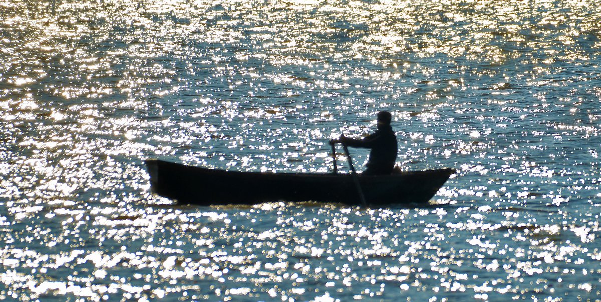 munishjauhar's tweet image. Sparkling Waters Of Sukhna Lake 
Chandigarh
December, 2020

#SparklingWaters #Chandigarh #SukhnaLake