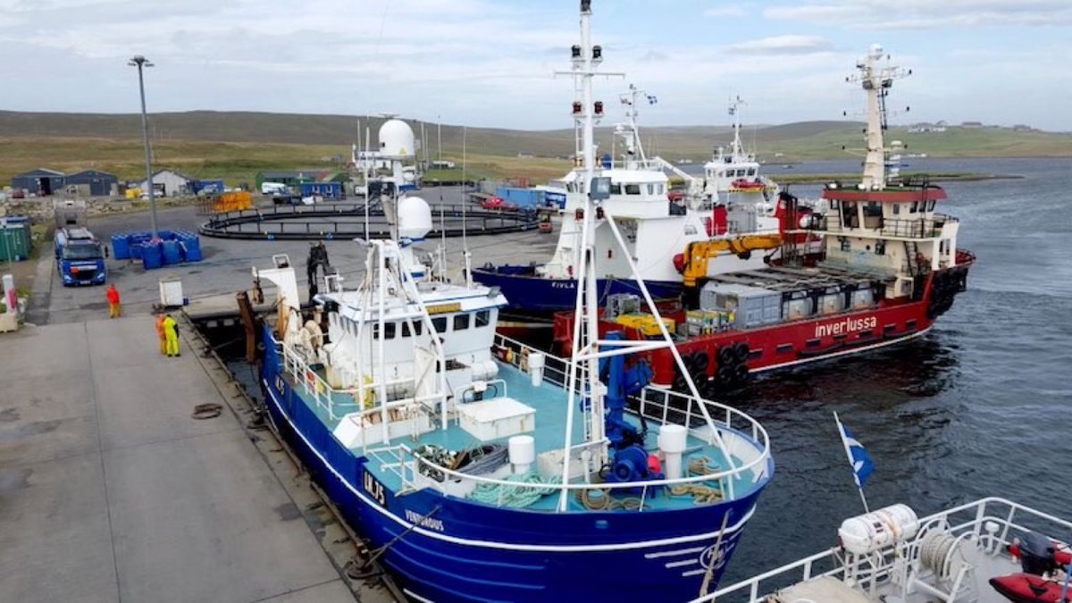 No.15Port: CullivoeFact: A former ferry port, the harbour was only built in 1991Constituency: Orkney & ShetlandParty: LibDemEURef: REMAIN - 59.72%Council: Orkney & ShetlandIndyref: NO - 65.45%Catch: £300k/16