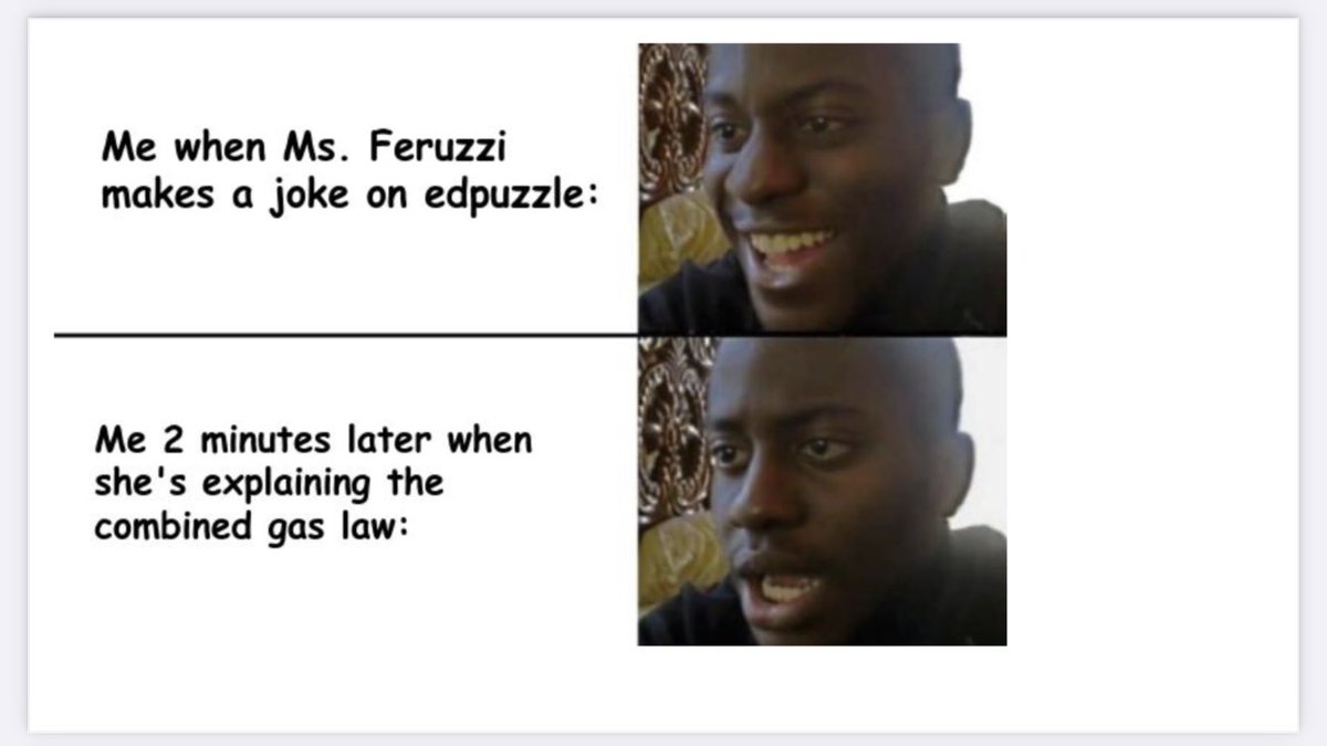 Miss Ferruzzi tweet media