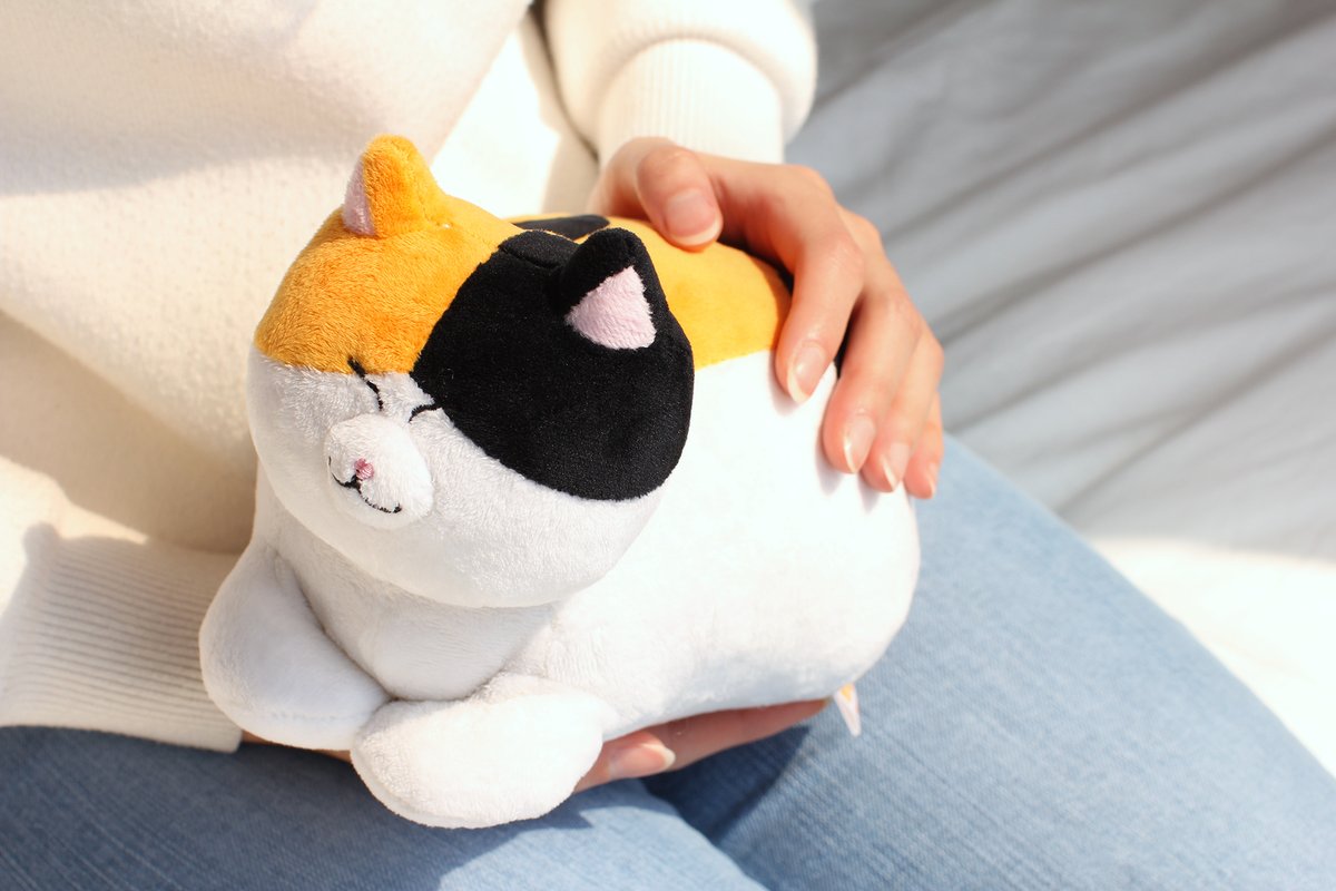 12월에는 식빵뚱냥과 함께 따뜻한 겨울을 보내세요🎄🎁

*아기 삼색은 현재 품절되었습니다. 감사합니다.